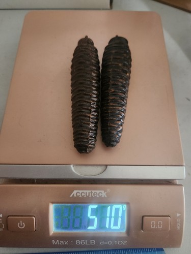 Cuckoo clock weights - cuckoo,