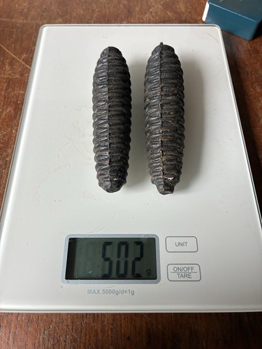 Vintage pair cast iron - vintage, cuckoo